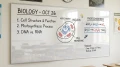 EX2210_4.webp