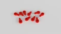TK96_MAP_10.webp
