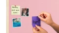 TFPINK44P_5.webp