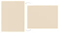 TFCAMEL129C_7.webp