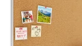 CB108_7.webp